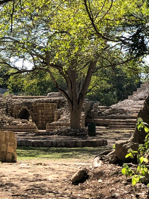 Edzná Campeche con templo maya entre selva y cielo abierto