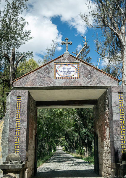 Huasca – Bosque, prismas y tradición minera | Rhual