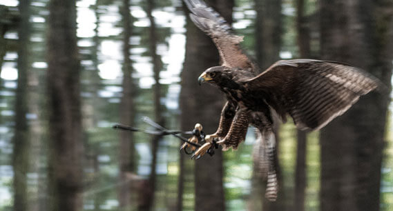 Mundo Medieval México – Convento del Desierto de los Leones - CDMX: Músicos, Bailarinas y Actores especialistas en el re creacionismo, fantasía e Historia medieval.