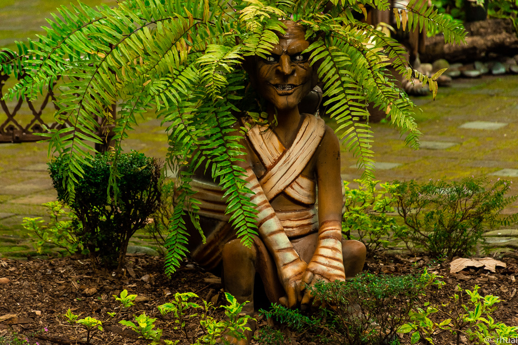 Orizaba – Entre montañas, arte y niebla | Rhual