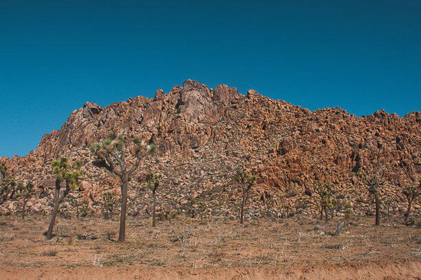 Riverside y el Silencio Místico de Joshua Tree | Rhual