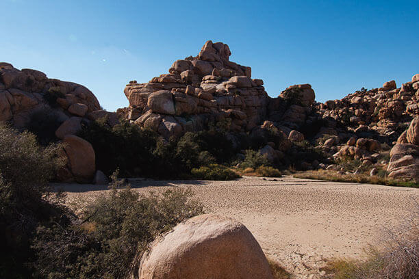 Riverside y el Silencio Místico de Joshua Tree | Rhual