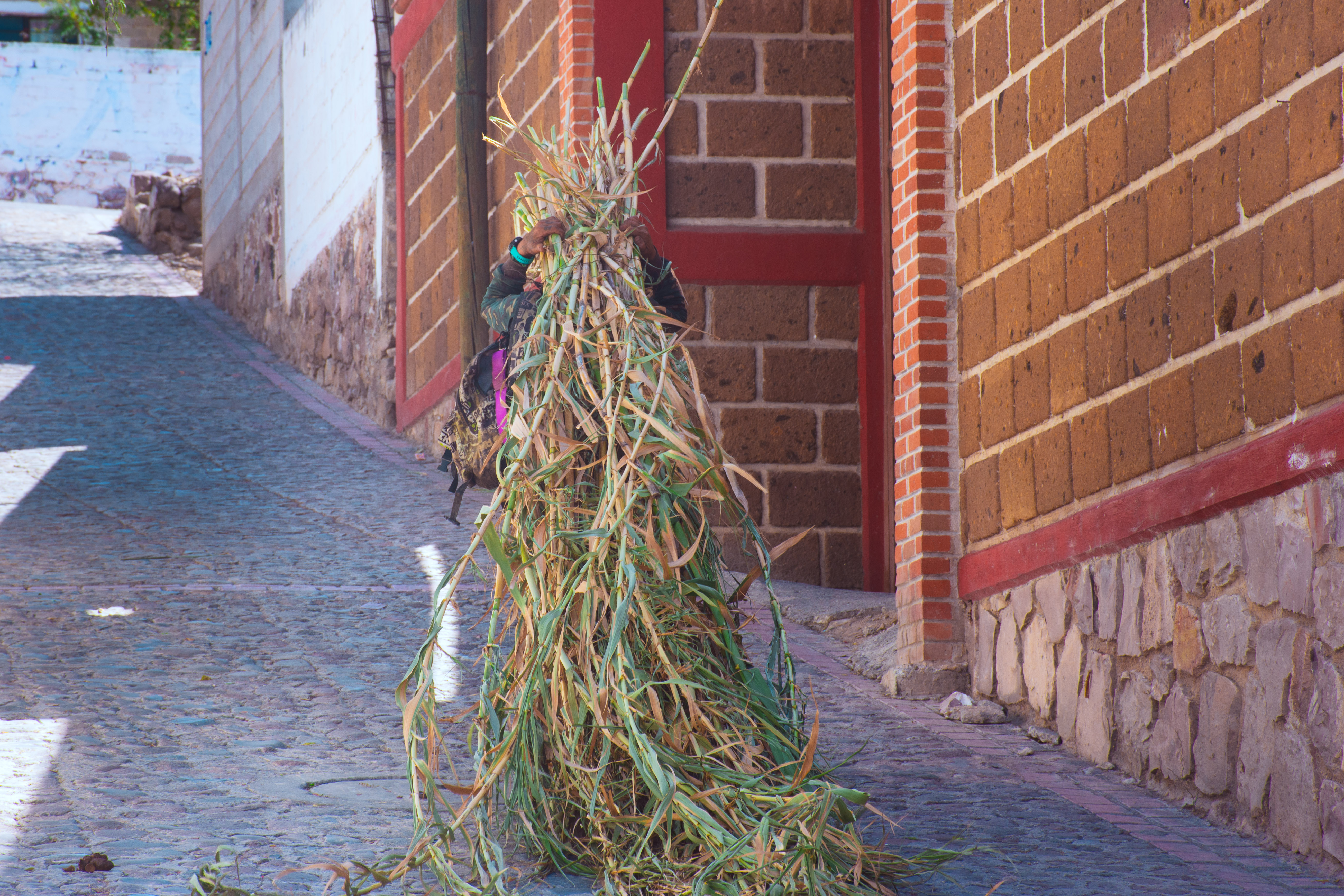 Tolimán Querétaro paisaje semidesértico y cultura otomí